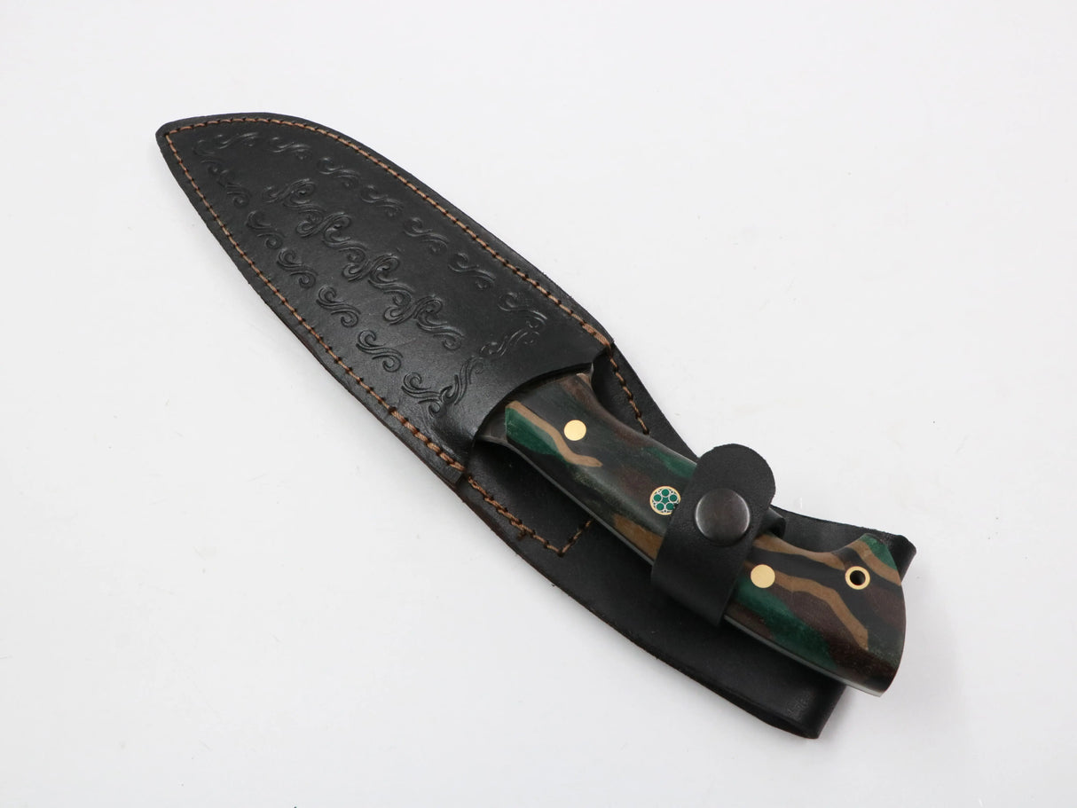 Lederscheide frontal fotografiert auf weißem Untergrund