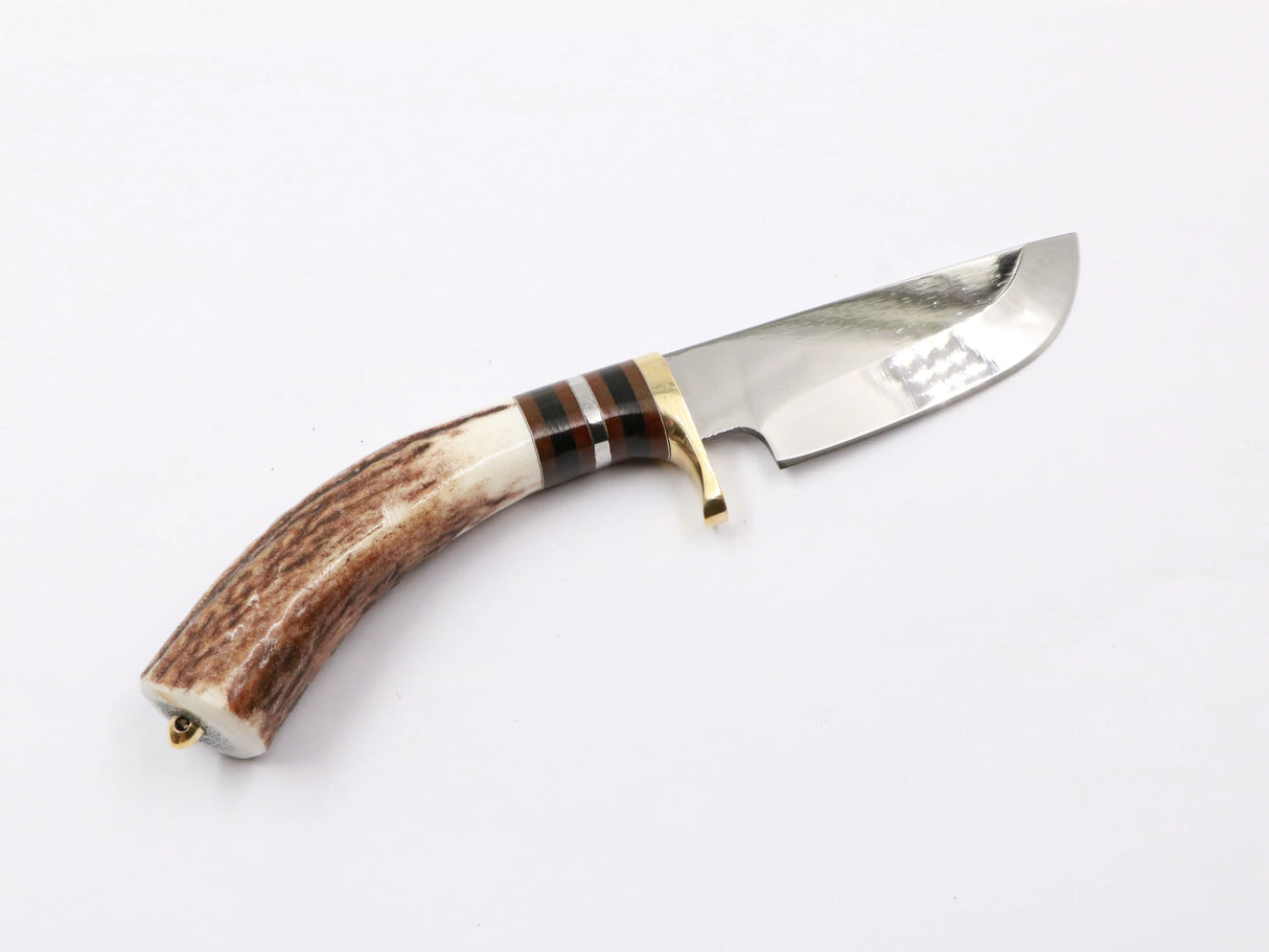 Nahaufnahme des natürlichen Hirschhorn-Griffs der Hirschkralle