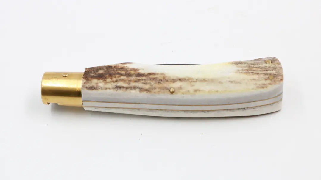 Taschenmesser Hirschfieber H1 mit Hirschhorngriff auf weißem Hintergrund