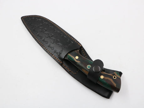 Lederscheide frontal fotografiert auf weißem Untergrund