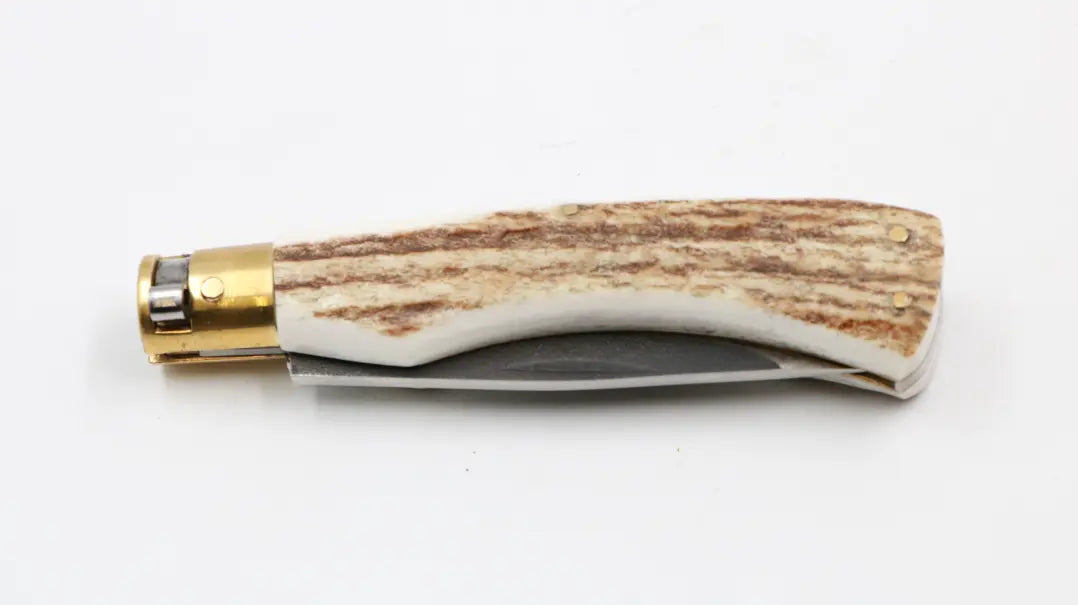 Taschenmesser Hirschfieber H1 mit Hirschhorngriff auf weißem Hintergrund