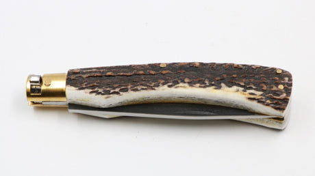 Hirschfieber H2 Taschenmesser – geschlossene Ansicht mit sichtbarem Griffende1