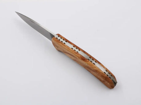 Rückansicht mit Blick auf die Mechanik – wahlweise Backlock oder Slipjoint