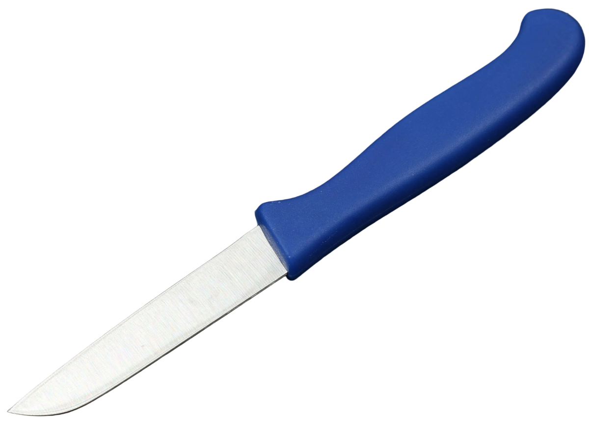 Messerfieber Solinger Zöppken mit blauem Kunststoffgriff in Seitenansicht